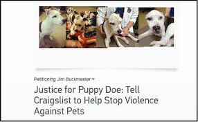 Browse and find labrador puppies today, on the uk's leading dog only classifieds site. Athens Kitten Killings Used As Example By Woman Petitioning Craigslist Ceo To Stop Listing Pets Al Com