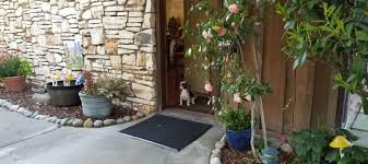 dog friendly carmel valley ca hotel for