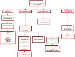 Organization Chart Sani Express