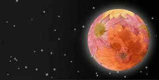 May 26, 2021, in sagittarius a full moon occurs when the sun in gemini forms an opposition to the moon in sagittarius. Full Moon In May 2021 Flower Moon Supermoon And Eclipse The Old Farmer S Almanac