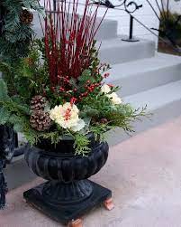 Flower Pots Outdoor Ornamental Cabbage