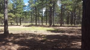 Some developed campgrounds in the mogollon rim ranger district are open and dispersed camping is allowed. Fr100 Dispersed Wilderness Camping The Dyrt