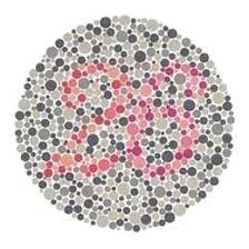 ishihara test for color blindness