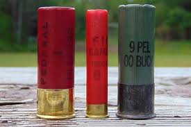 A shotgun is one of the most versatile firearms, but you need to match your shotgun shells to what you are shooting. Birdshot Vs Buckshot Why Birdshot Is Never Better For Home Defense Guns Com