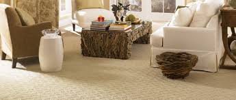 carpet cleaning melbourne experts