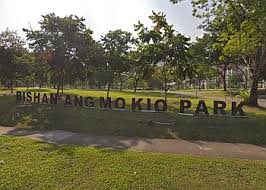 bishan ang mo kio park in bishan
