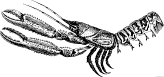 Select from 32084 printable crafts of cartoons, nature, animals, bible and many more. Black And White Lobster Coloring Pages Lobster 2 Printable Coloring4free Coloring4free Com
