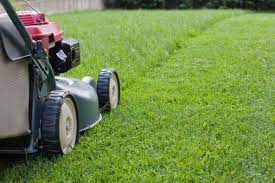 About Ground Care Lawn Services