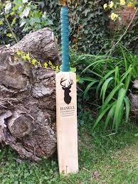 kashmir willow tennis cricket bat
