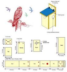 Diy Bird House Bird Feeder Plans