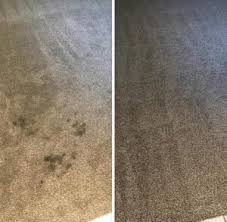 residential carpet cleaning gilbert
