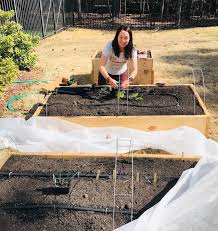 My Beginner Vegetable Gardening Journey