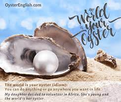 the world is your oyster meaning