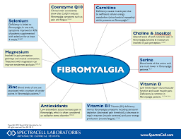 Diet For Fibromyalgia