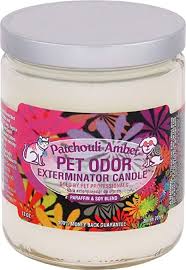 Dog supplies > stain & odor removers cat supplies > miscellaneous > stain and odor dog supplies > gift items for dog owners > gift assorted : Amazon Com Specialty Pet Products Amber Patchouli Pet Odor Exterminator 13 Ounce Jar Candle Amber Patchouli 1 Home Kitchen