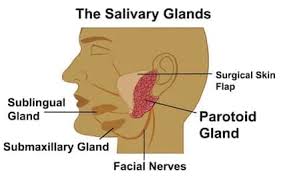 salivary stones how to detect treat