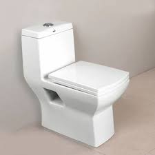 Toilet Seat White Toilet Seat
