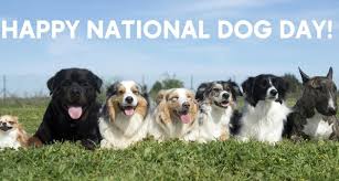 Man's best friend deserves to be celebrated every. National Dog Day Means Extra Love For Human S Best Friend Happy National Dog Day 2021 Quotes Wishes Images Pictures Wallpaper Messages Smartphone Model