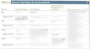 Vt17 Normal Vital Signs During Anesthesia Sanders Diagram