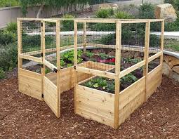 build a raised and enclosed garden bed