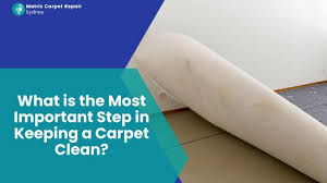 carpet repair costs in depth ysis