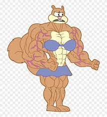 Sandy cheeks muscle growth 480 x 360 · jpeg. Muscle Sandy Color By Spongebob Muscle Sandy Hd Png Download 726x842 5202695 Pngfind