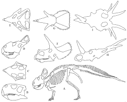 Evolution Of Dinosaurs Wikipedia