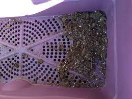 Growbox Self Watering Planter