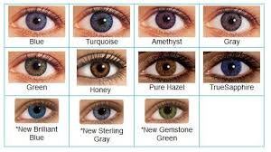Color Contact Lenses For Brown Eyes Colorblends Colorchart