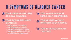 The detrusor muscle is the thick muscle deep in the bladder wall. Bladder Cancer Symptoms Causes Diagnosis And Treatment