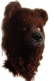 bear costume for tv show makeup