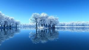 winter nature snow beautiful lovely