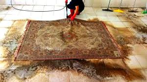 satisfying rug cleaning asmr