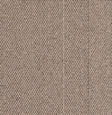 nt 350 2023 26 carpets goodrich global