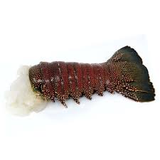 sed lobster tail 1 piece at