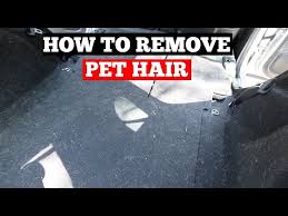 how to remove pet hair from car