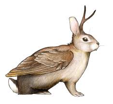 This creature appears to be a large hare with long fangs, feathered wings, and a set of antlers.
