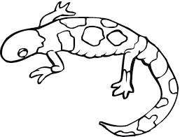 By best coloring pagesaugust 28th 2019. Gecko Coloring Pages Coloring Home