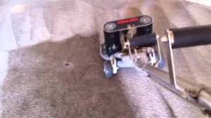 carpet cleaning olympia carpet