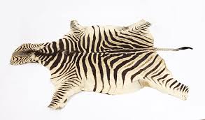 vine zebra skin ref no 09863
