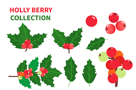 Holly Leaves And Berries Set Graphic By Griyolabs Creative Fabrica