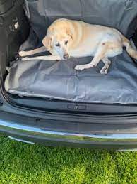 Car Boot And Rear Seat Dog Cover
