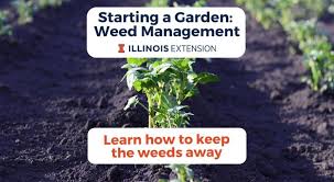 starting a garden weed management