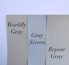 True Gray Paint Color With No