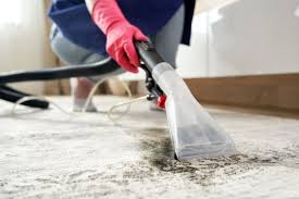 exploring carpet cleaning solutions
