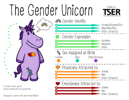 Gender identity spectrum