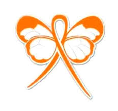 orange ribbon awareness erfly pin