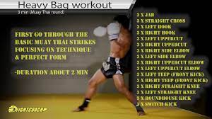 cool muay thai kickboxing mma heavy bag