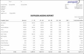 Aging Report Sample Magdalene Project Org
