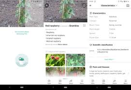 Your picture will be identified by a international team of experts. Use Picturethis To Identify Plants On Your Mobile Ghacks Tech News